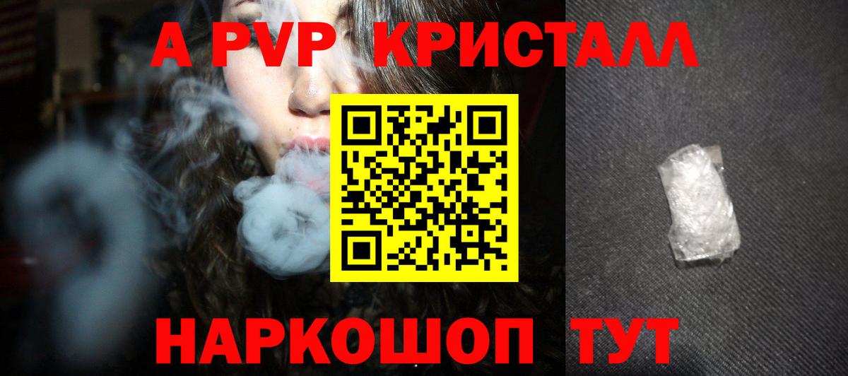 A PVP СК КРИС Тара