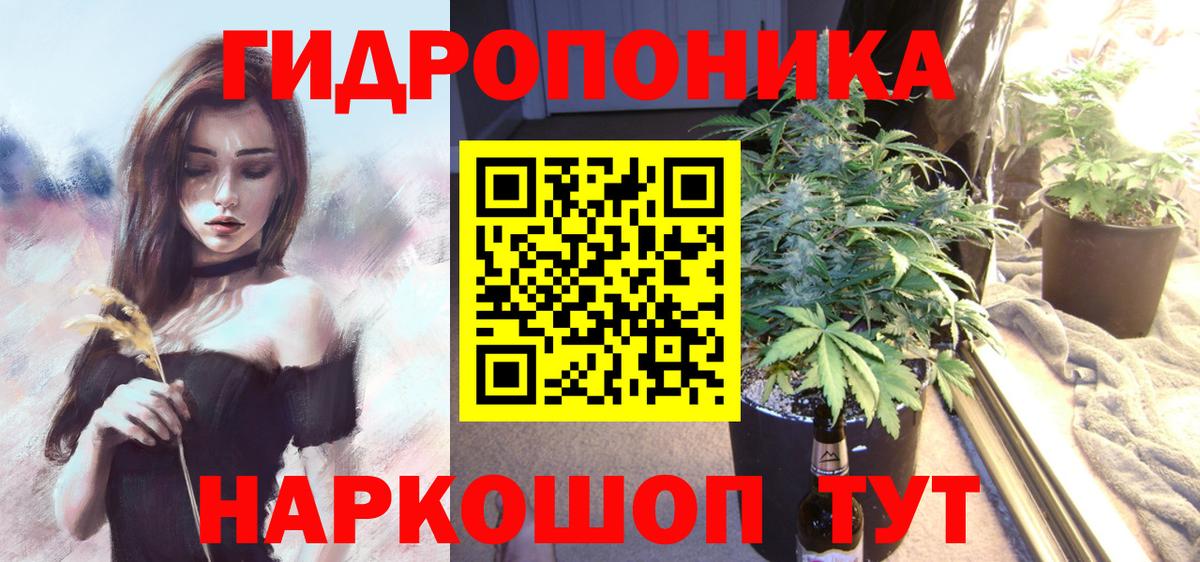 Конопля AK-47  Вход с VPN  МАРИХУАНА тримм  Шишки марихуана план  Тара  МАРИХУАНА ГИДРОПОН 